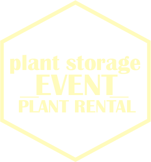 Plant Storage Pflanzenvermietung